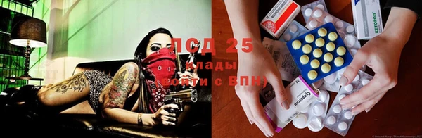 шишки Заводоуковск