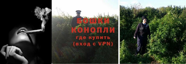 шишки Заводоуковск