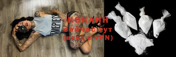 шишки Заводоуковск