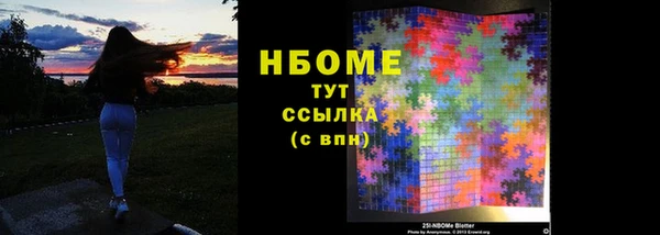 шишки Заводоуковск