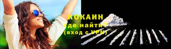 шишки Заводоуковск