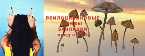 ECSTASY Заволжье