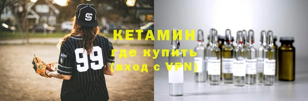 шишки Заводоуковск