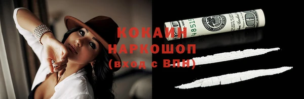 шишки Заводоуковск