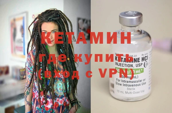 шишки Заводоуковск