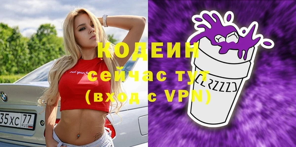 шишки Заводоуковск