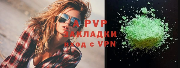 шишки Заводоуковск