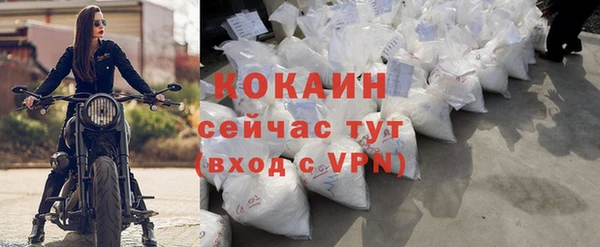 шишки Заводоуковск