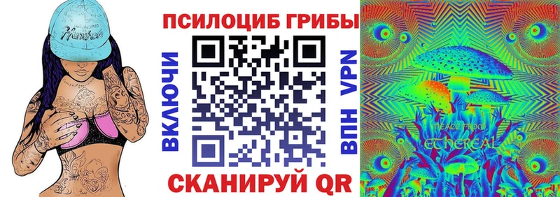 купить наркотики цена Кизляр Псилоцибиновые грибы MAGIC MUSHROOMS